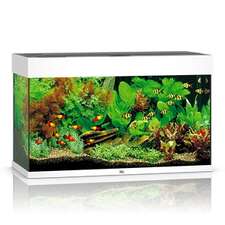 Aquarium Juwel circa hotsell 120x137 ,300VHP